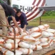 5 Ton Garam Disebar, Riau Genjot Hujan Buatan Tekan Karhutla 2026