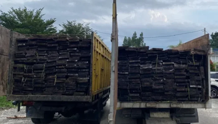 Pembalakan Liar Kian Nekat, Kayu Ilegal dari Suaka Margasatwa Kerumutan Digagalkan Polisi