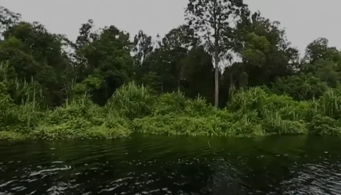 Siak Dukung UPT Taman Nasional Zamrud, Afni Tekankan Manfaat Ekologi dan Ekonomi Warga