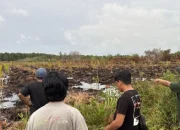 Bakar Lahan 3 Hektare di Bengkalis, Polisi Tetapkan Warga Kampar sebagai Tersangka Karhutla