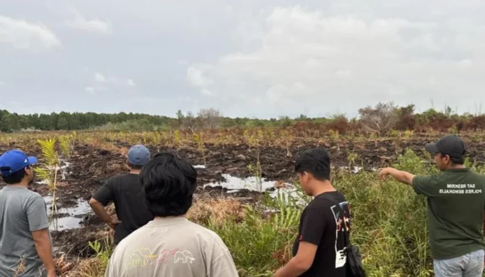 Bakar Lahan 3 Hektare di Bengkalis, Polisi Tetapkan Warga Kampar sebagai Tersangka Karhutla