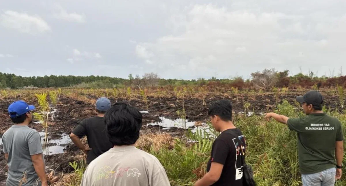 Bakar Lahan 3 Hektare di Bengkalis, Polisi Tetapkan Warga Kampar sebagai Tersangka Karhutla