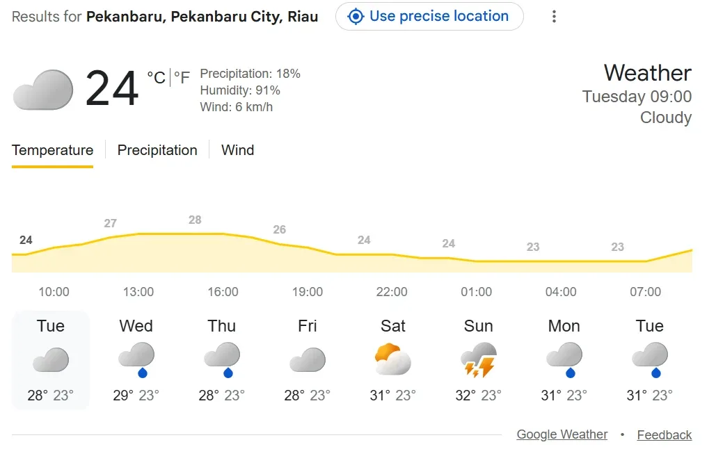 BMKG Ingatkan Hujan Lebat dan Petir di Riau, 6 Hotspot Masih Terpantau