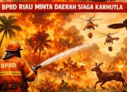 Musim Panas Mengintai, BPBD Riau Minta Daerah Siaga Karhutla
