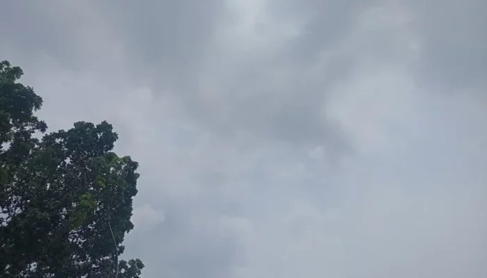 Cuaca Riau 24 Februari 2026: Malam hingga Dini Hari Waspada Hujan Lebat dan Petir