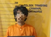 Curi Berondolan Sawit di Tambang Kampar, Satu Pelaku Ditangkap, Tiga DPO