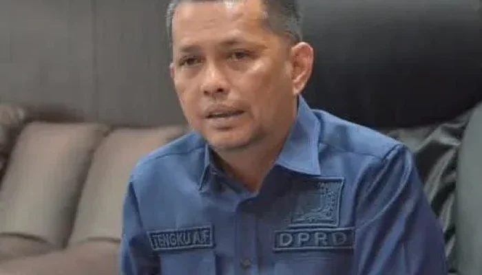 DPRD Dukung Penertiban Reklame Pekanbaru, JPO Diminta Kembali ke Fungsi Awal