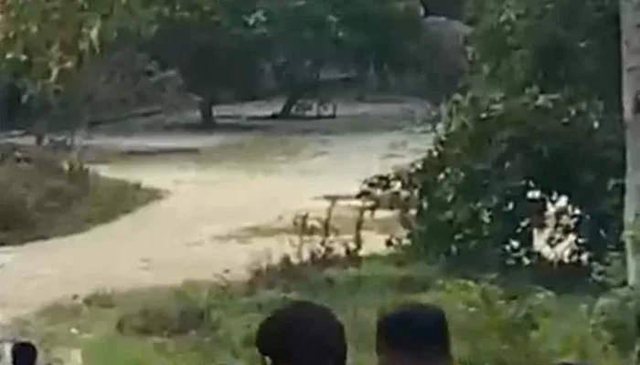 Gajah Sumatra Rusak Mes Karyawan PT Arara Abadi di Siak, 5 Rumah Hancur