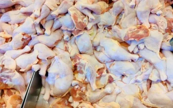 Jelang Ramadan 2026, Harga Ayam di Pasar Arengka Pekanbaru Masih Stabil
