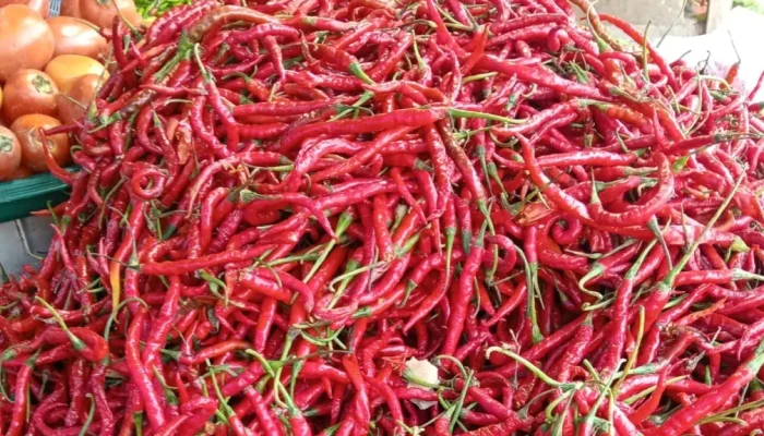 Jelang Lebaran 1447 H, Harga Bahan Pokok di Riau Stabil Meski Ada Kenaikan Daging dan Cabai