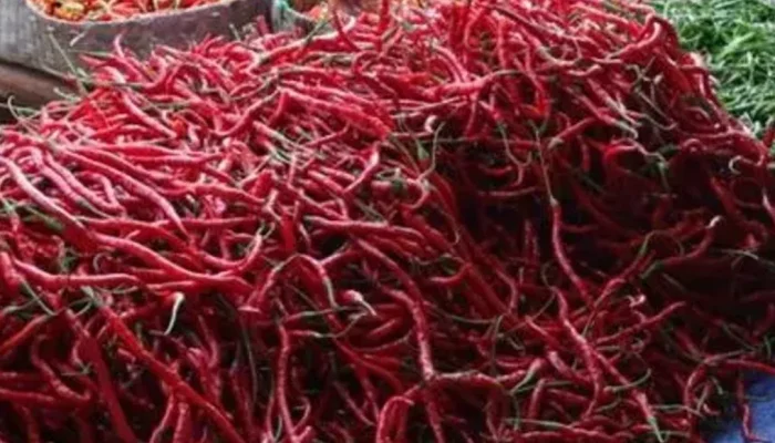 Harga Cabai Merah Masih Stabil di Pekanbaru Jelang Lebaran 1447 H