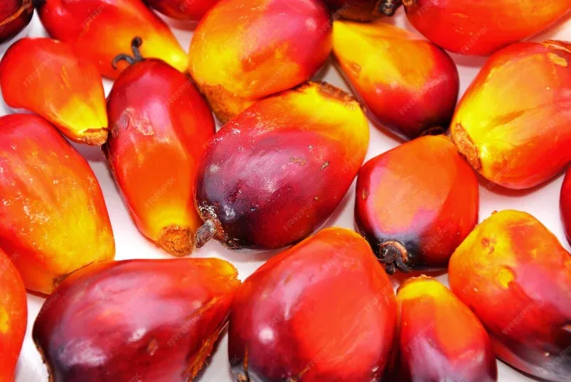 Harga Sawit Petani Riau Turun Lagi, CPO Jadi Biang Utama