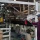 Harimau Sumatera Teror Permukiman Warga di Siak, Ternak Dimangsa
