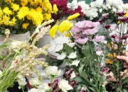 Jelang Imlek 2026, Pedagang Bunga Pekanbaru Panen Rezeki di Jalan Juanda