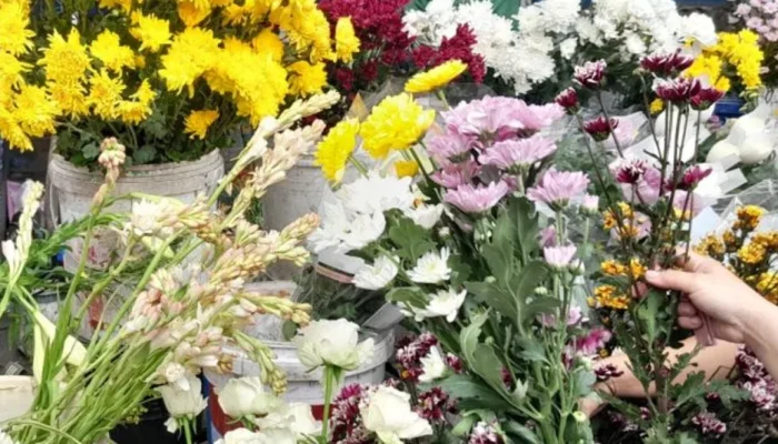 Jelang Imlek 2026, Pedagang Bunga Pekanbaru Panen Rezeki di Jalan Juanda