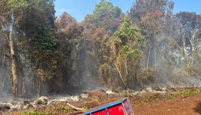 Karhutla di Bukit Batu, Polres Bengkalis Tetapkan Tersangka Perambah Hutan