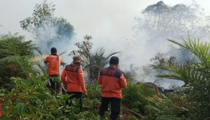 Siaga Karhutla Riau, Dinkes Pastikan APD dan Tim Medis Siap Hadapi Ancaman Asap