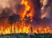 Riau Darurat Karhutla: 433 Hotspot Terdeteksi, BMKG Peringatkan Cuaca Ekstrem