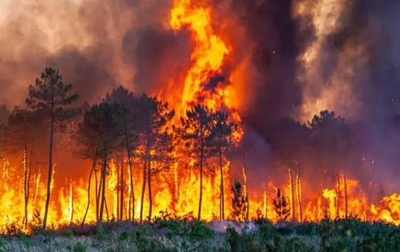 Karhutla Masih Terkendali, Pekanbaru Belum Tetapkan Status Siaga Darurat