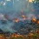 Karhutla Terparah di Payung Sekaki, Hampir 8 Hektar Lahan Terbakar