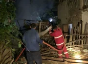 Kebakaran Hebat Ludeskan Ternak Warga Kuansing, Puluhan Kambing dan Ayam Tewas Terpanggang