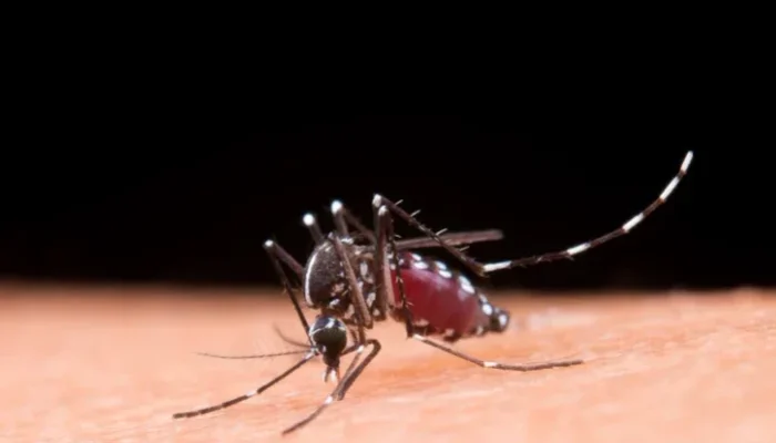 KLB Malaria Rohil Diperpanjang ke-9, Pemprov Riau Genjot Pencegahan dan Edukasi Warga