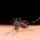 KLB Malaria Rohil Diperpanjang ke-9, Pemprov Riau Genjot Pencegahan dan Edukasi Warga