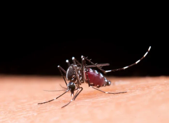 KLB Malaria Rohil Diperpanjang ke-9, Pemprov Riau Genjot Pencegahan dan Edukasi Warga