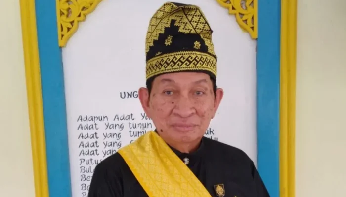 LAMR Kecam Pembunuhan Gajah Sumatera di Pelalawan, Tegaskan Alam Warisan Anak Cucu