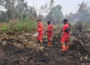Manggala Agni Bergerak Massif, Padamkan Karhutla di 12 Titik Riau