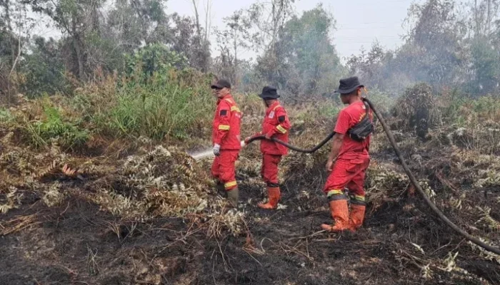 Manggala Agni Bergerak Massif, Padamkan Karhutla di 12 Titik Riau