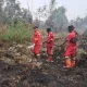 Manggala Agni Bergerak Massif, Padamkan Karhutla di 12 Titik Riau