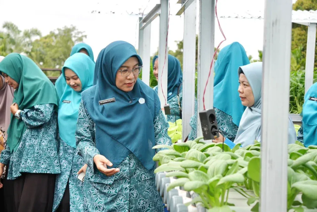 Panen Perdana Hidroponik KWT Benteng Lestari, Siak Dorong Ketahanan Pangan Kampung