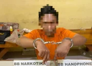 Polsek Kampar Kiri Hilir Bongkar Dugaan Peredaran Sabu di Desa Penghidupan