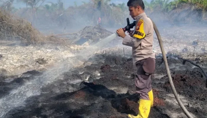 Riau Resmi Siaga Darurat Karhutla hingga November 2026