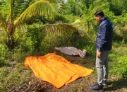 Pria 49 Tahun Ditemukan Tewas di Lahan Kosong Meranti, Polisi Tunggu Hasil Visum
