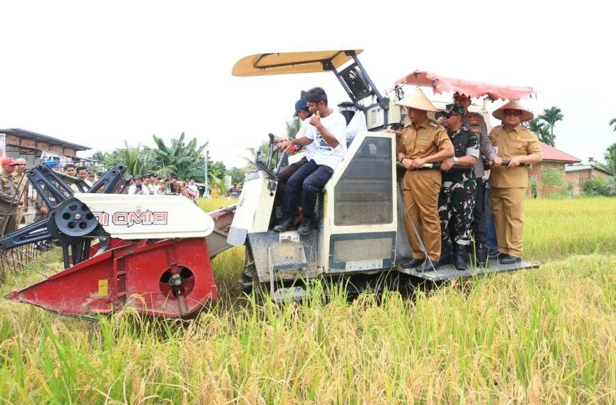 Riau Baru Mampu Penuhi 27 Persen Kebutuhan Beras, Pemprov Genjot Swasembada Pangan