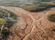 Riau Masuk Kemarau Awal, Ancaman Karhutla Mulai Mengintai