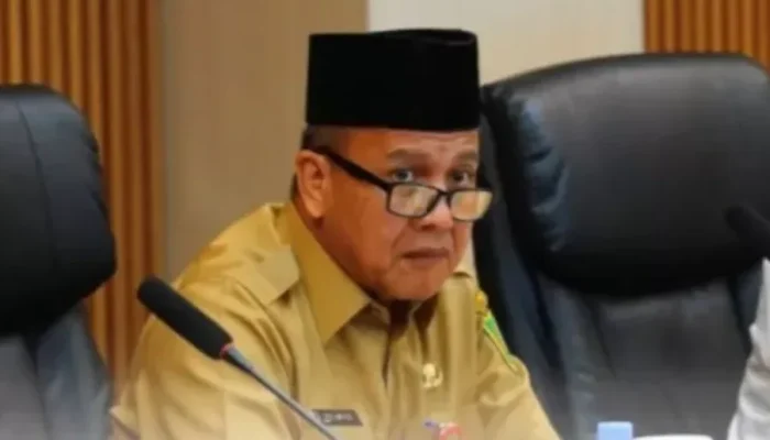 TPAKD Riau Catat Kinerja Positif, Akses Keuangan Makin Meluas