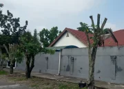 Penebangan Pohon di Belakang Hotel Aryaduta Pekanbaru Disorot, DLHK Siap Tindak Tegas Pelaku