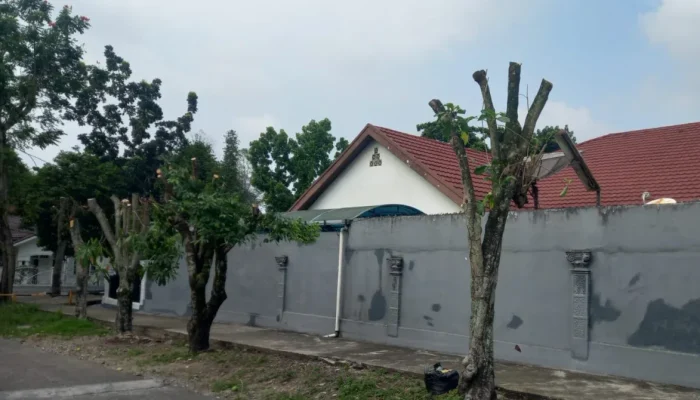 Penebangan Pohon di Belakang Hotel Aryaduta Pekanbaru Disorot, DLHK Siap Tindak Tegas Pelaku