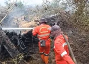 Riau Membara: Ribuan Hektare Lahan Hangus, Manggala Agni Bertaruh Nyawa di Garis Depan