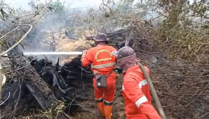 Riau Membara: Ribuan Hektare Lahan Hangus, Manggala Agni Bertaruh Nyawa di Garis Depan