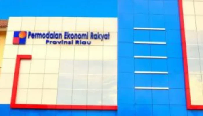 Seleksi Direktur PT PER Riau Dibuka, Pemprov Cari Sosok Profesional Berintegritas