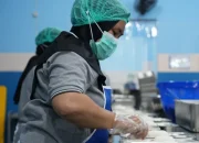 Skema MBG Diubah, Distribusi Makanan Disesuaikan untuk Jaga Kualitas Gizi