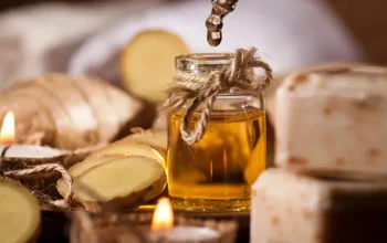 BPDP Buka Program Grant Riset 2026, Fokus Dorong Inovasi Perkebunan