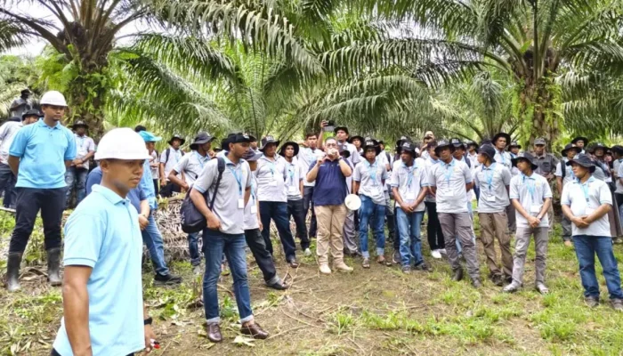 BPDP Tetapkan 19 Lembaga Pelatihan SDM Sawit 2026, Setara Indonesia