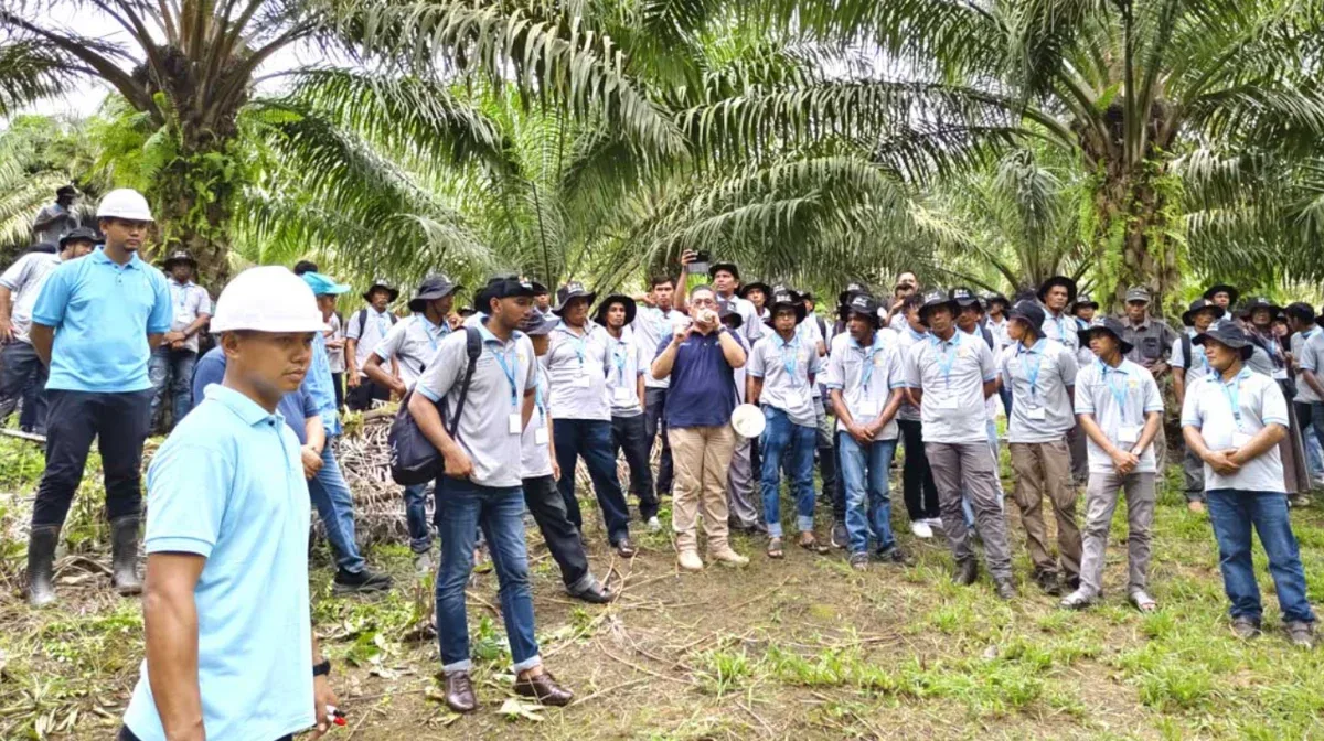 BPDP Tetapkan 19 Lembaga Pelatihan SDM Sawit 2026, Setara Indonesia