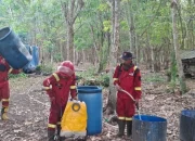 Karhutla Bengkalis Meluas, 200 Hektare Lahan Terbakar di Rupat Utara