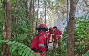 Karhutla Bengkalis Meluas, Kendala Air dan Angin Hambat Pemadaman di Sejumlah Titik